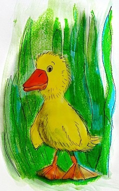 Little Duck image